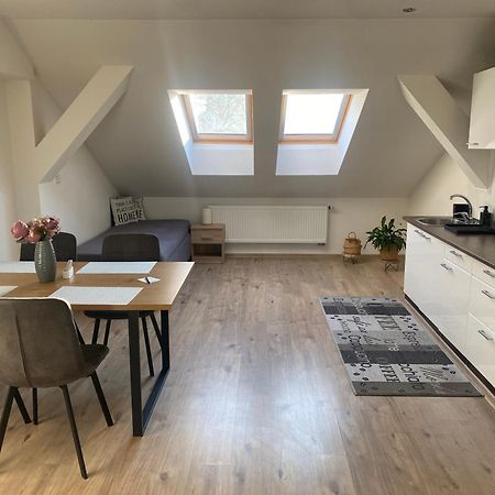 Apartmány Černý Tulipán #5 Plzeň Esterno foto
