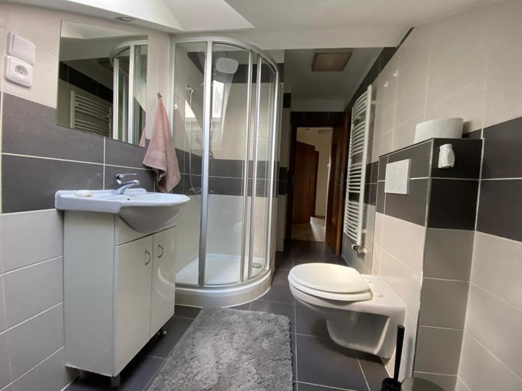 Apartmány Černý Tulipán #5 Plzeň Esterno foto